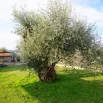 アパート 2 Bedroom 1bath With 2 Ac Units, Garden In Chianti! *
