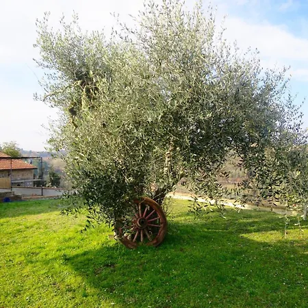 Appartamento 2 Bedroom 1bath With 2 Ac Units, Garden In Chianti! *